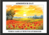 Remembrance Day Watercolour Paintings by Paul Duddell107-02-2025