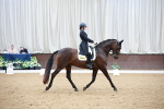 SBM_009723