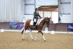 SBM_000479