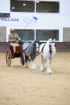 SBM_000655