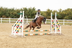 SBM_007276