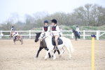 SBM_003991