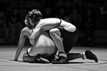Austin D. portfolio