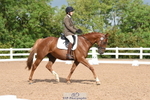 Cls 5 Novice 39 portfolio