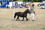 WJ6_6812
