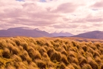 Grasses and Mountains at Faraid Head