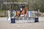BPP_2876