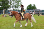 SBM_08736