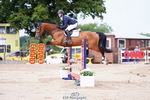 Cls 31 4 Yr Old Champs portfolio