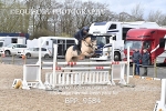BPP_9584