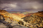 Fairbrook Naze Rainbows