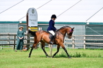 SBM_03719
