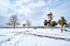 Torquay Seafront in snow