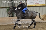 BPP_9979