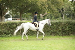 SBM_73690