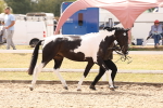 SBM_15329