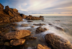 Cotton Coast