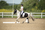 SBM_008935