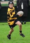 Kendal Rugby Under 9's (5/10/25) portfolio