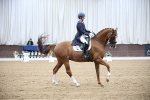 SBM_007579