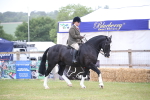 SBM_11042