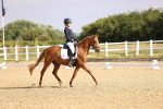 SBM_008482