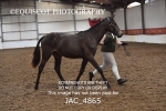 JAC_4865