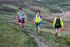Lords Seat-652