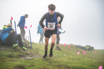 Wansfell-229