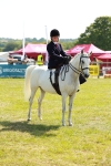 Class 70-71 - Side Saddle portfolio