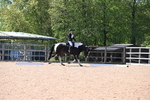 WJ6_8345
