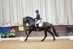SBM_006583