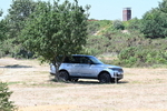 WJ7_4682