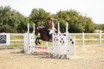 SBM_000661
