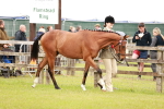 SBM_01721