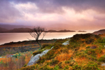 Loch Torridon.    ref 1172
