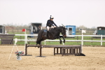 SBM_001691