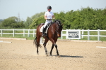 SBM_009645