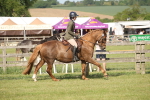 SBM_09769