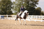 SBM_08086