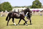 SBM_17937