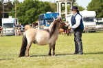 SBM_01775