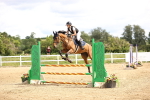 SBM_006442