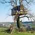 Tree House