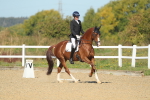 SBM_000833