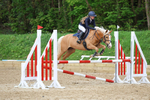 Class 13: Pony Discovery/90cm open portfolio