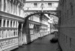 Venice portfolio