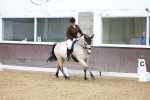 SBM_000241