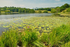 Loughrigg Tarn