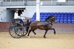 SBM_000191